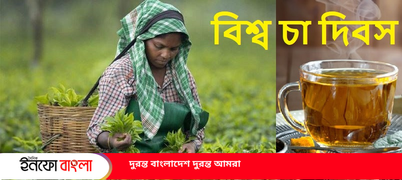 আজ বিশ্ব চা দিবস। বিশ্বজুড়ে চা উৎপাদন ও এর সঙ্গে জড়িত পেছনের মানুষগুলোর গুরুত্বও অপরিসীম